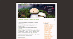 Desktop Screenshot of poil-de-chaussette.com