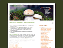 Tablet Screenshot of poil-de-chaussette.com